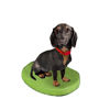 Picture of Custom Bobblehead Doll: Pet Dog Dachshund displaying Collar